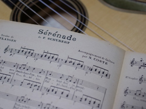 Schubert (guitar) -1.jpg