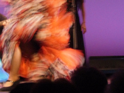 flamenco2010-01.jpg