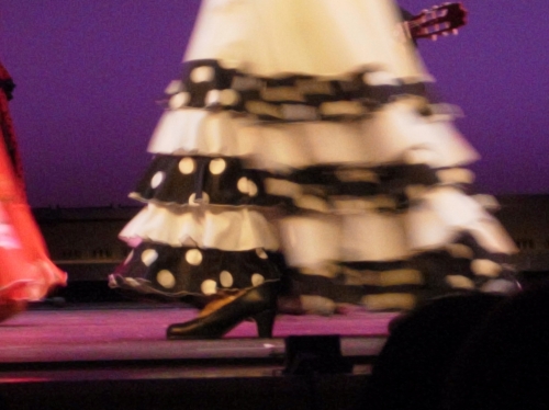 flamenco2010-04.jpg